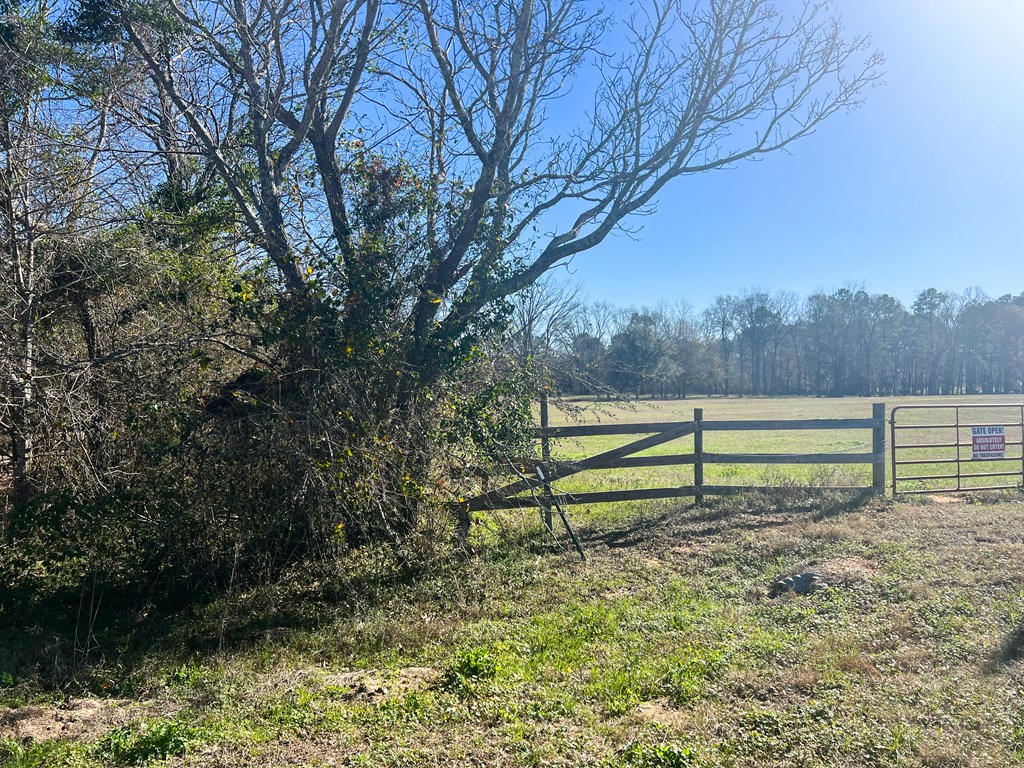 5455 Co Road Slocomb, AL 36375 - Photo 7 of 8
