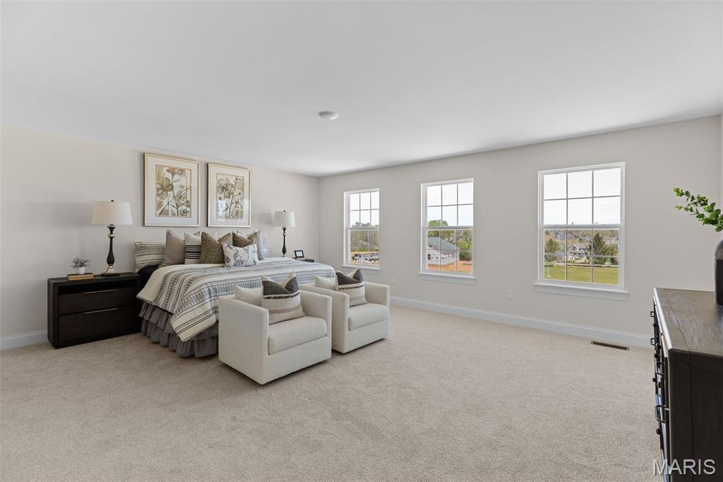 8019 Cotswald Trail Cottleville, MO 63304 - Photo 35 of 39