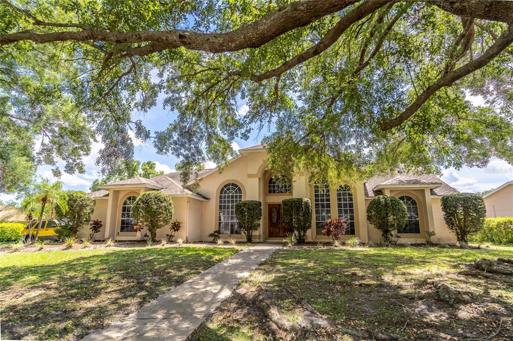 a view of a large trees in front of a house