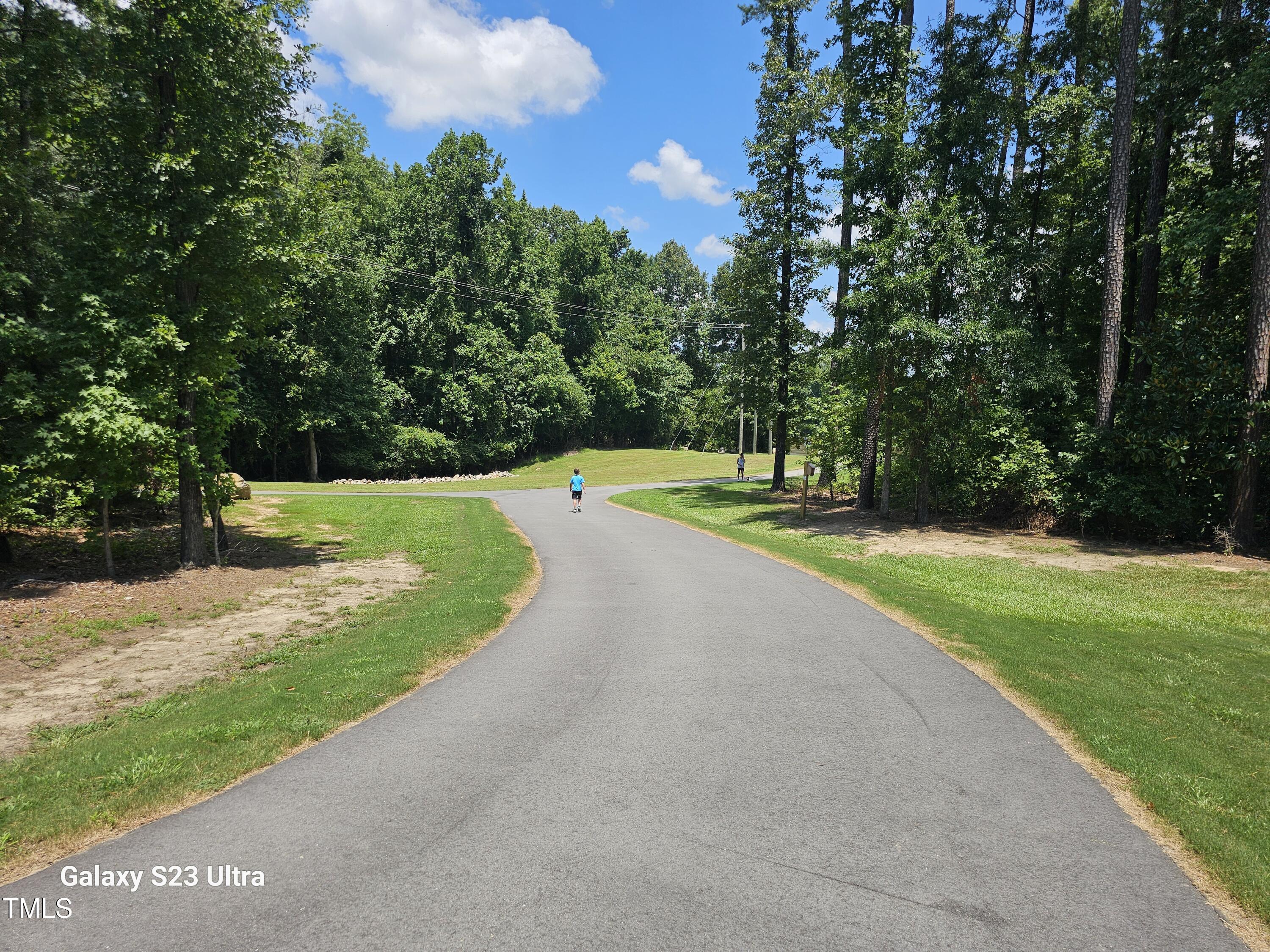 20 Streamline Court Lillington, NC 27546 - Photo 36 of 46 a view of a park with large trees
