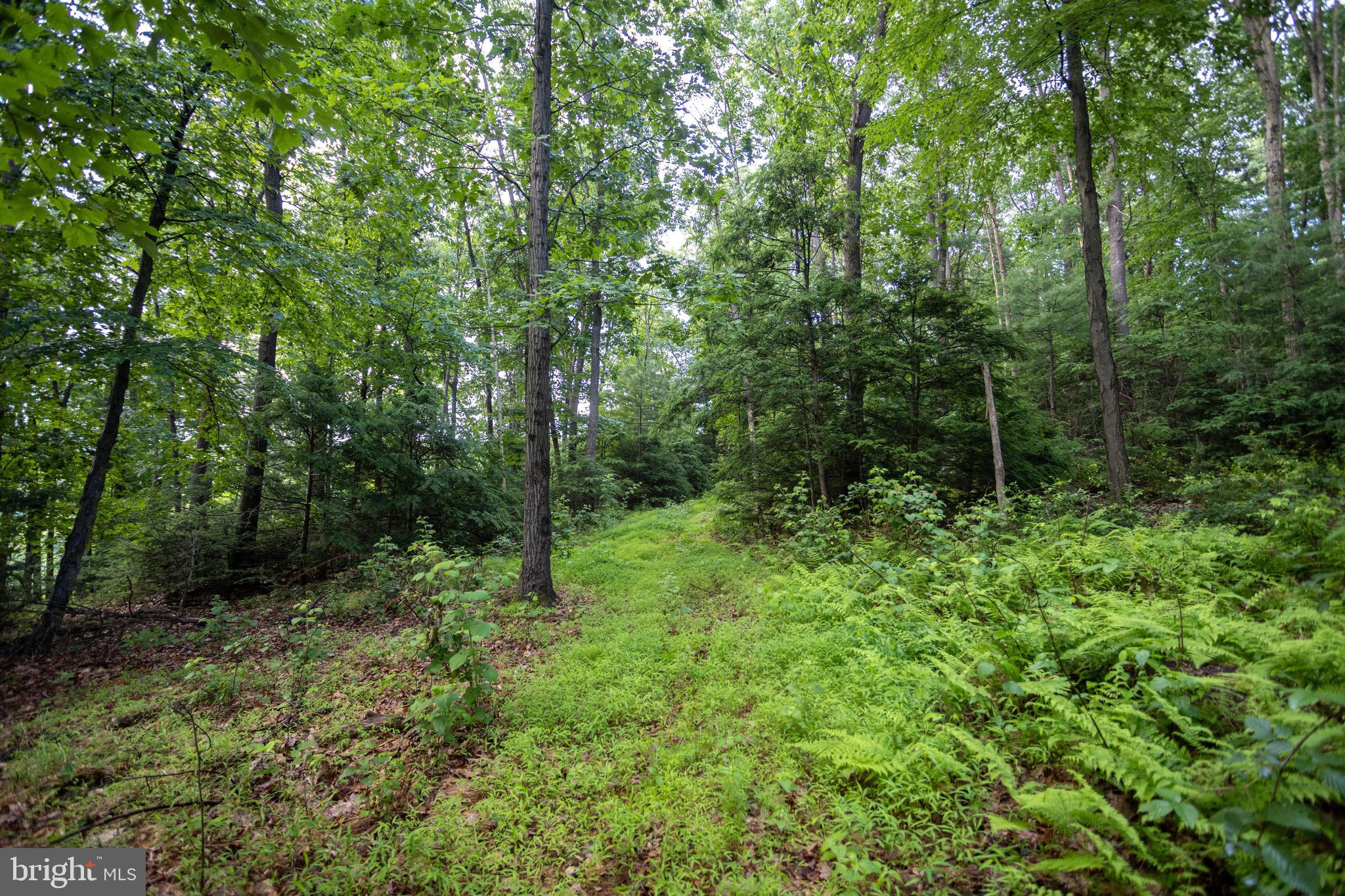 3125 Buckwheat Road Millerstown, PA 17062 - Photo 25 of 38