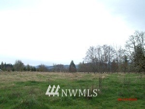 182 Kahout Road Curtis, WA 98538 - Photo 3 of 15