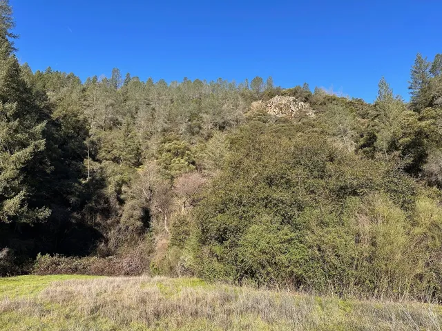 $499,000 | 0 Tree Top Lane, Auburn, CA 95603