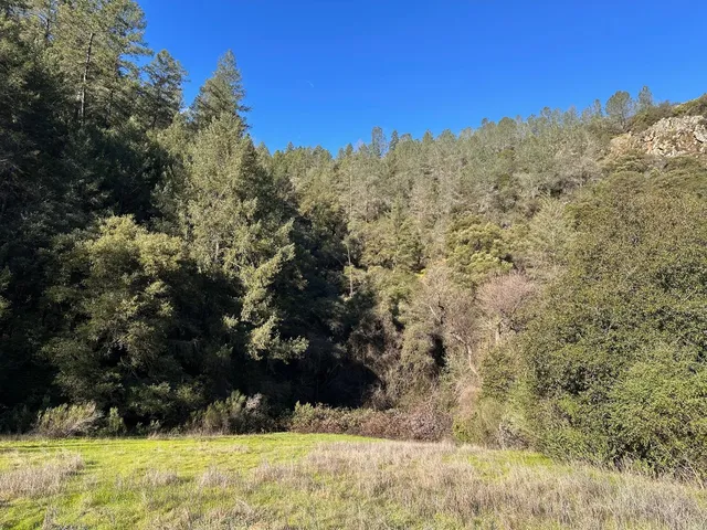 $499,000 | 0 Tree Top Lane, Auburn, CA 95603