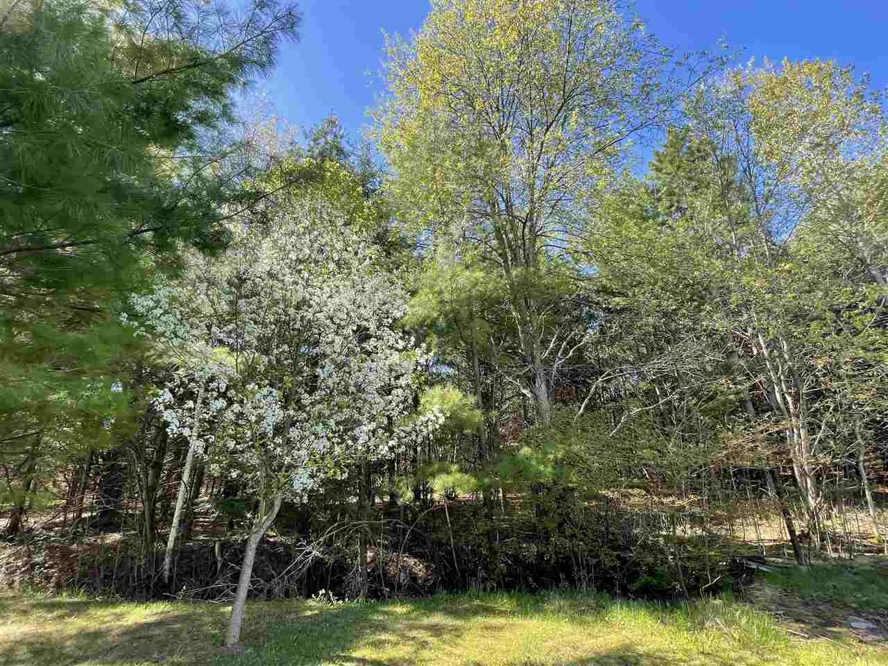 900 North Black Road Twining, MI 48766 - Photo 5 of 53 1887983-4.JPG