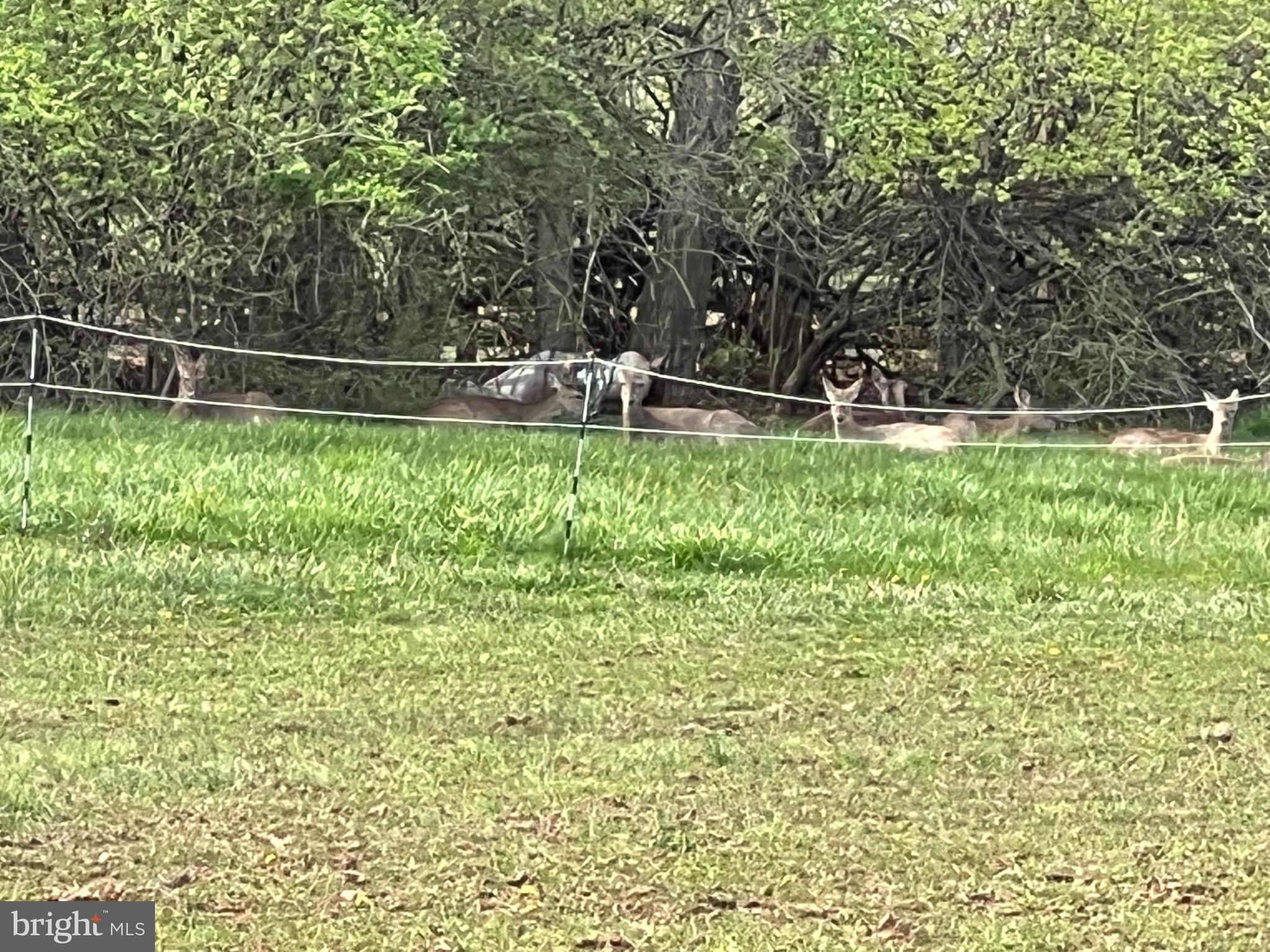 2226 Harney Road Littlestown, PA 17340 - Photo 20 of 113