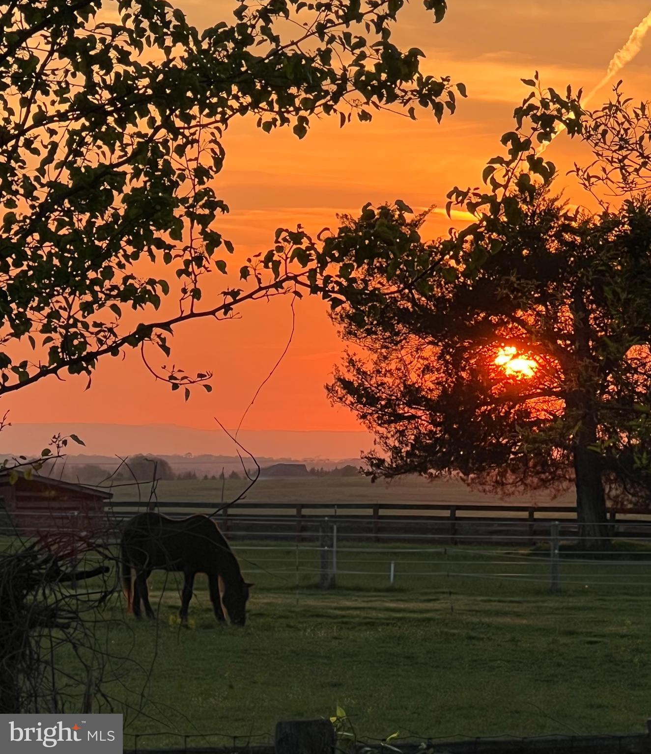 2226 Harney Road Littlestown, PA 17340 - Photo 22 of 113 a view of a yard