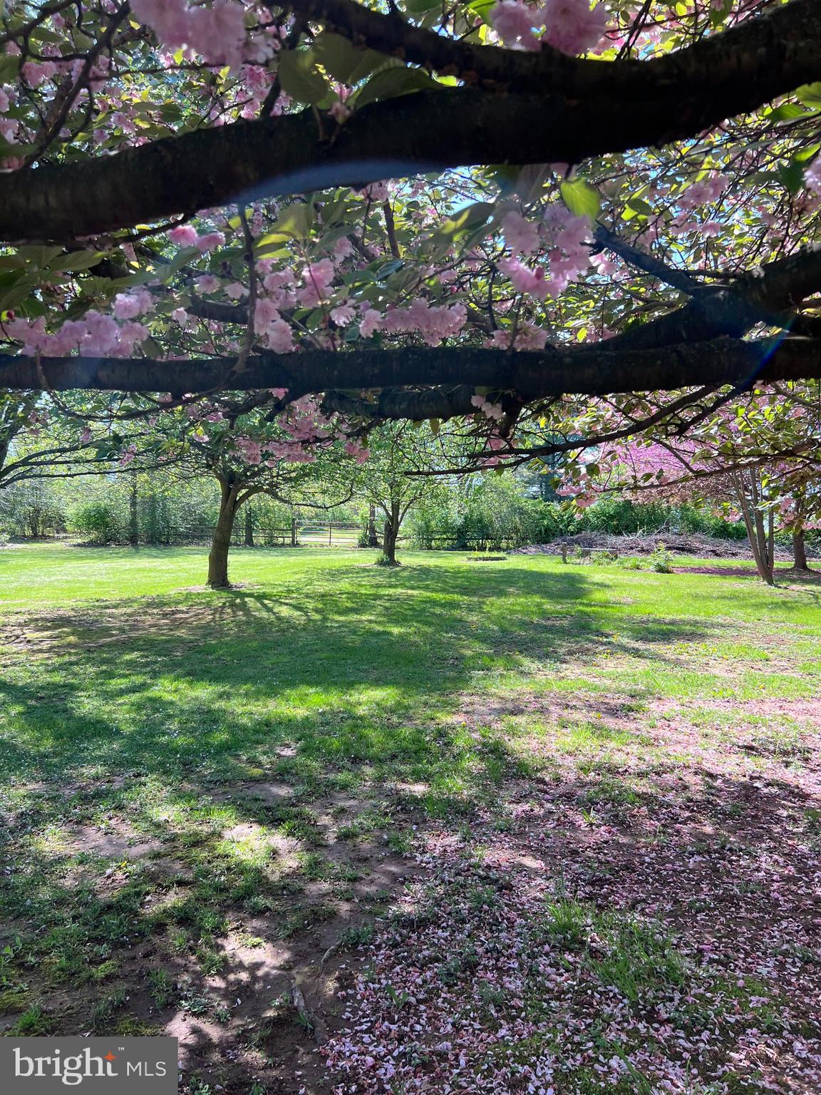 2226 Harney Road Littlestown, PA 17340 - Photo 23 of 113