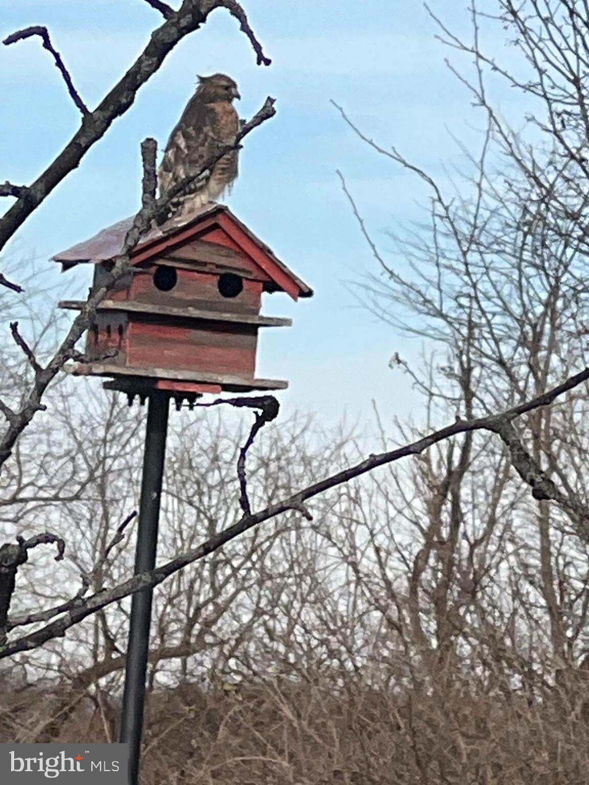 2226 Harney Road Littlestown, PA 17340 - Photo 26 of 113