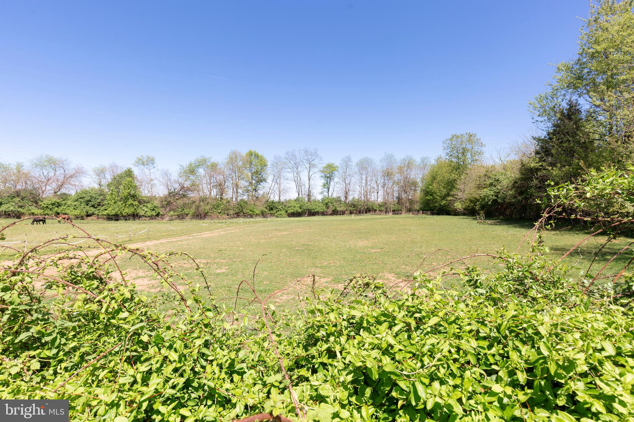 2226 Harney Road Littlestown, PA 17340 - Photo 83 of 113