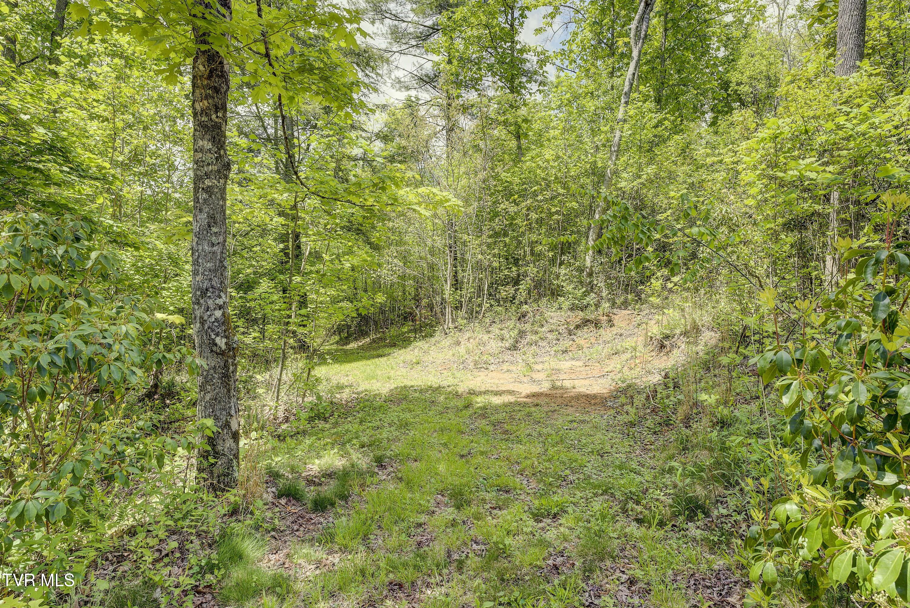 994 Fairview Road Hampton, TN 37658 - Photo 43 of 52 Fairview-26