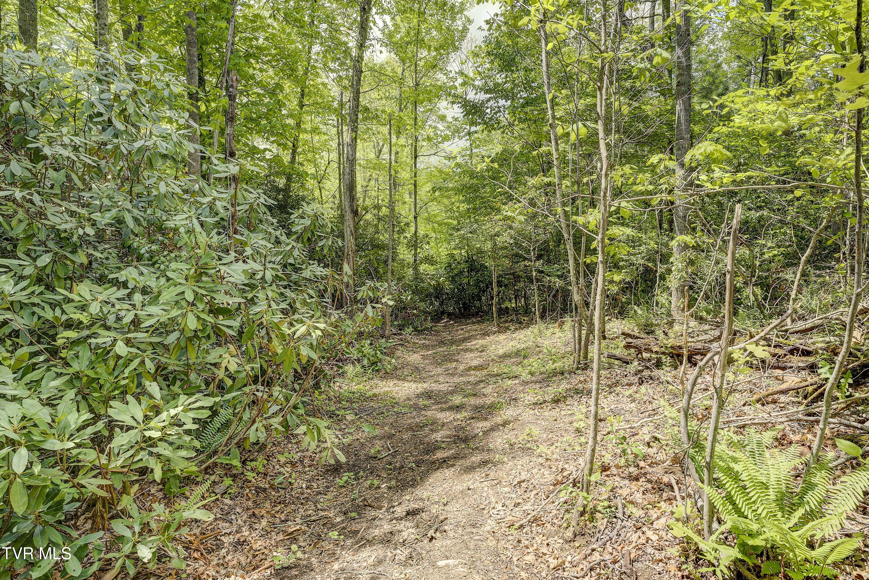 994 Fairview Road Hampton, TN 37658 - Photo 44 of 52 Fairview-27