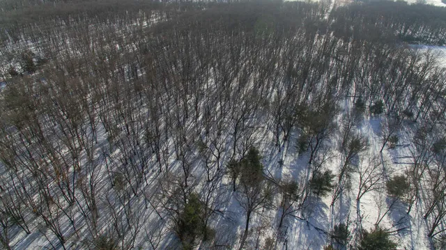 $320,000 | 40-ac 40-ac Fawn, Montello, WI 53949