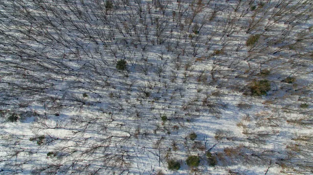 $320,000 | 40-ac 40-ac Fawn, Montello, WI 53949