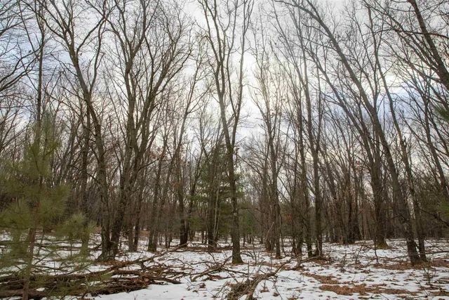 $320,000 | 40-ac 40-ac Fawn, Montello, WI 53949