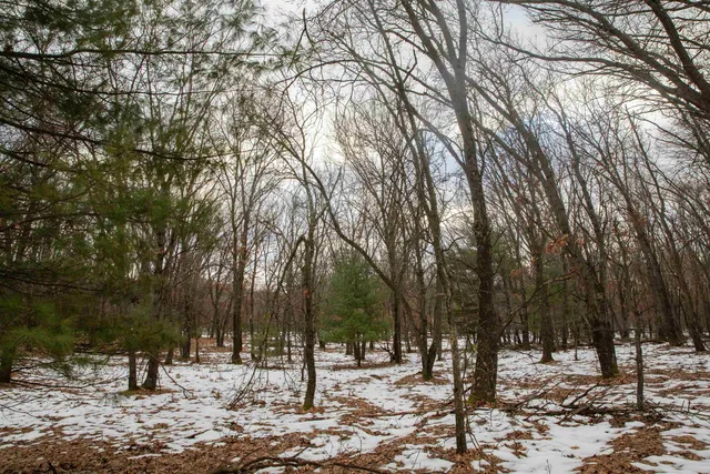$320,000 | 40-ac 40-ac Fawn, Montello, WI 53949