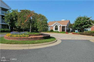 21023 Timber Ridge Terrace, Unit 104 Ashburn, VA 20147 - Photo 29 of 29 Community