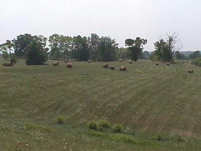 6375 Wades Mill Road Mount Sterling, KY 40353 - Photo 6 of 8 Photo 6