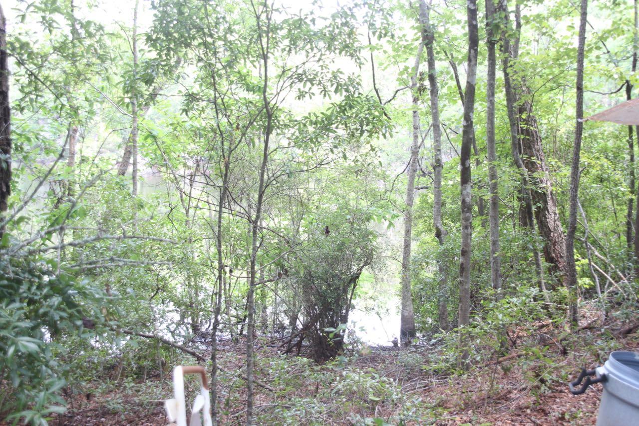 0 Sandpit Drive Ridgeville, SC 29472 - Photo 4 of 8 IMG_3969