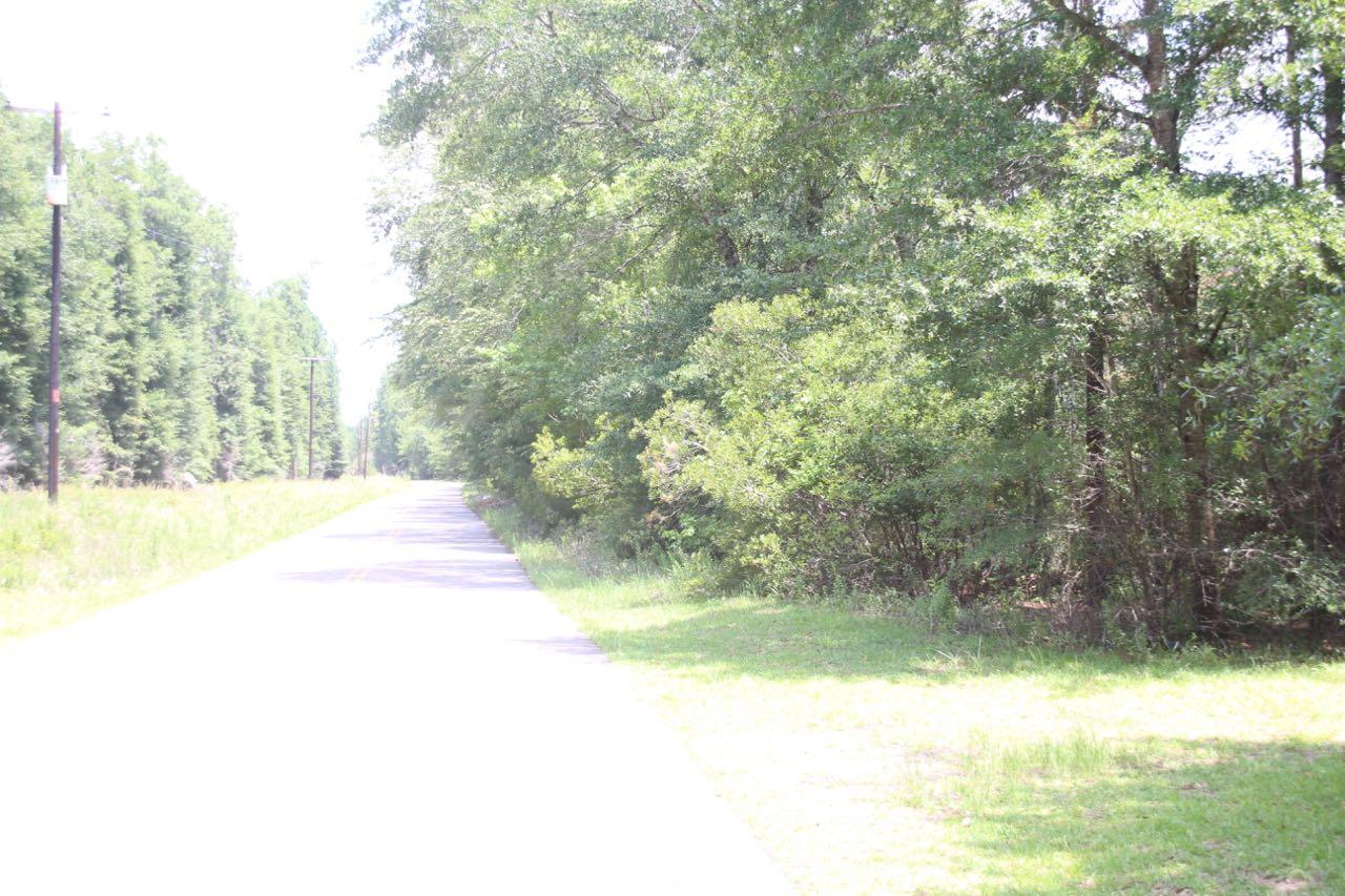0 Sandpit Drive Ridgeville, SC 29472 - Photo 5 of 8 IMG_3970