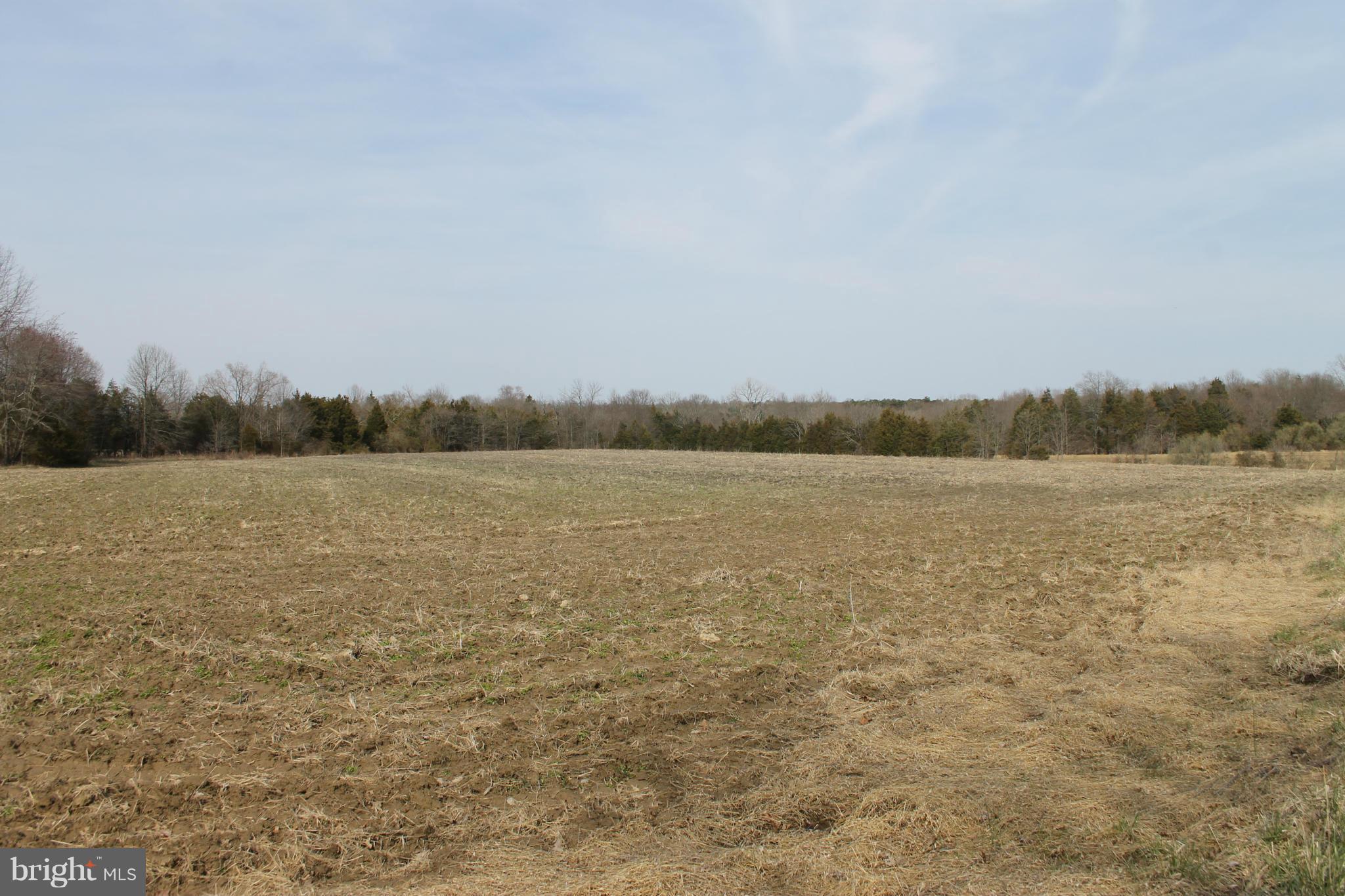 3014 Tenerife Road Catlett, VA 20119 - Photo 26 of 28 Crop land