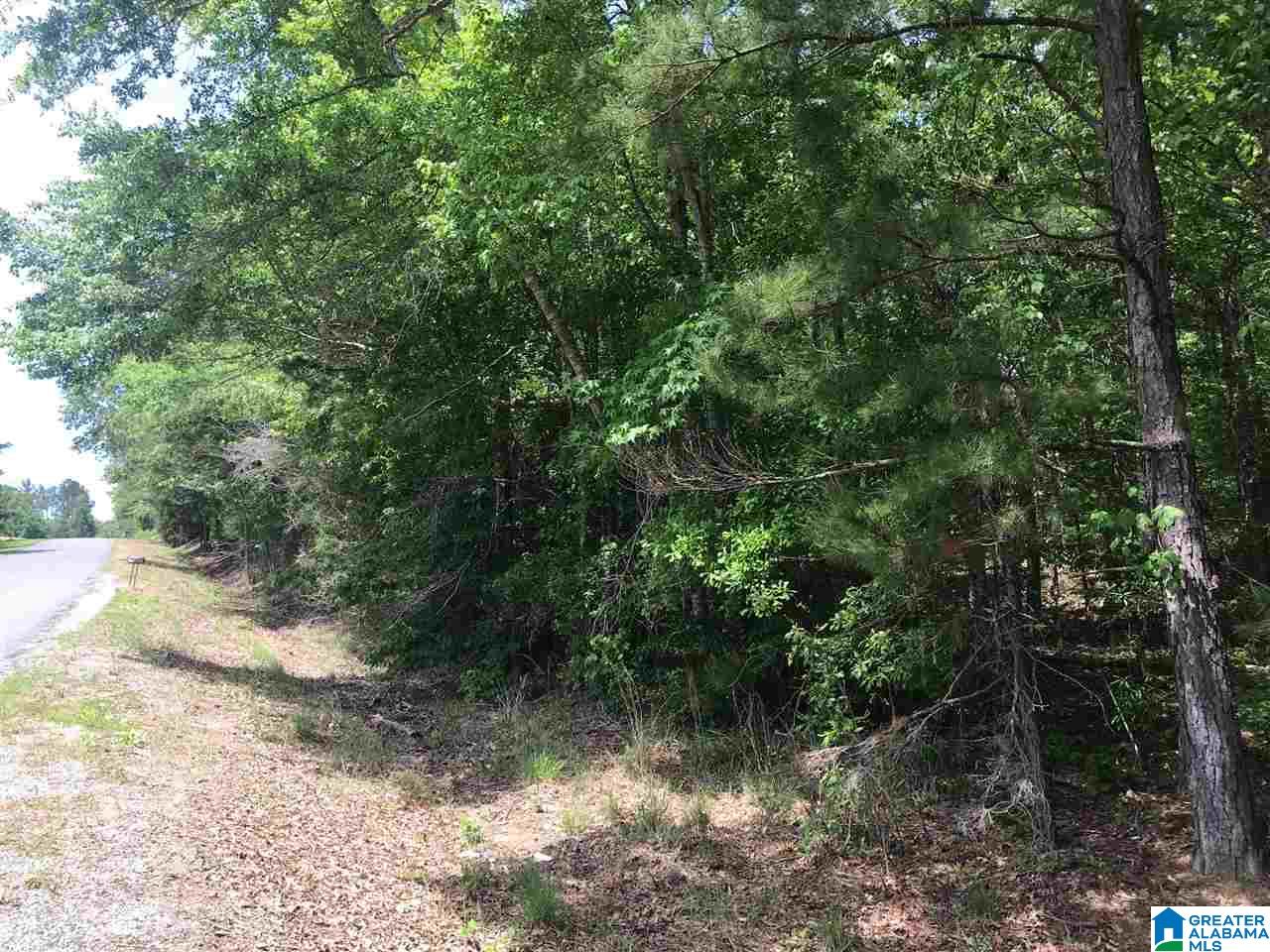 Firehouse Road, Unit 21 Goodwater, AL 35072 - Photo 11 of 21