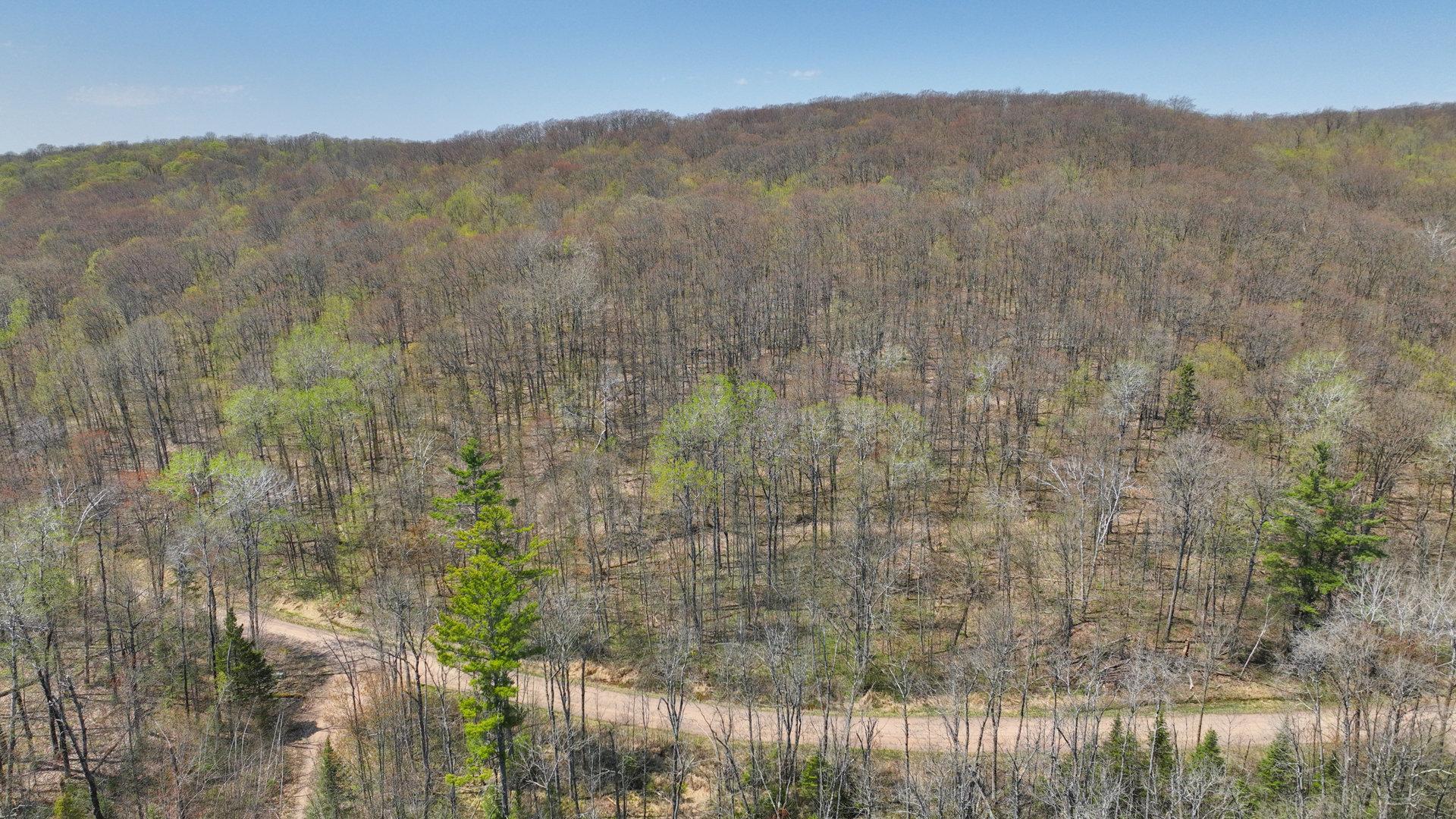 3.91-acres North Gueldner Lane North Exeland, WI 54835 - Photo 3 of 10