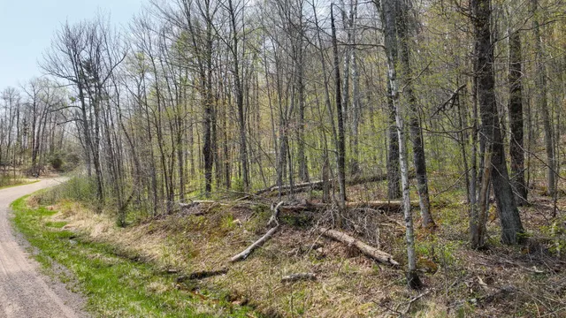 $59,900 | 3.91-acres North Gueldner Lane North, Exeland, WI 54835