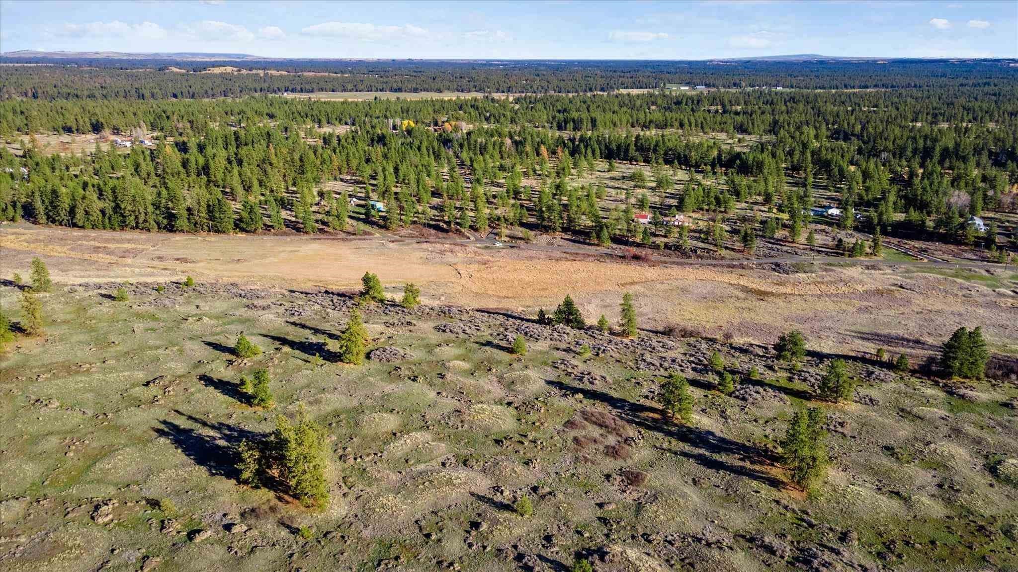 20107 South Harrison Road Edwall, WA 99008 - Photo 6 of 6