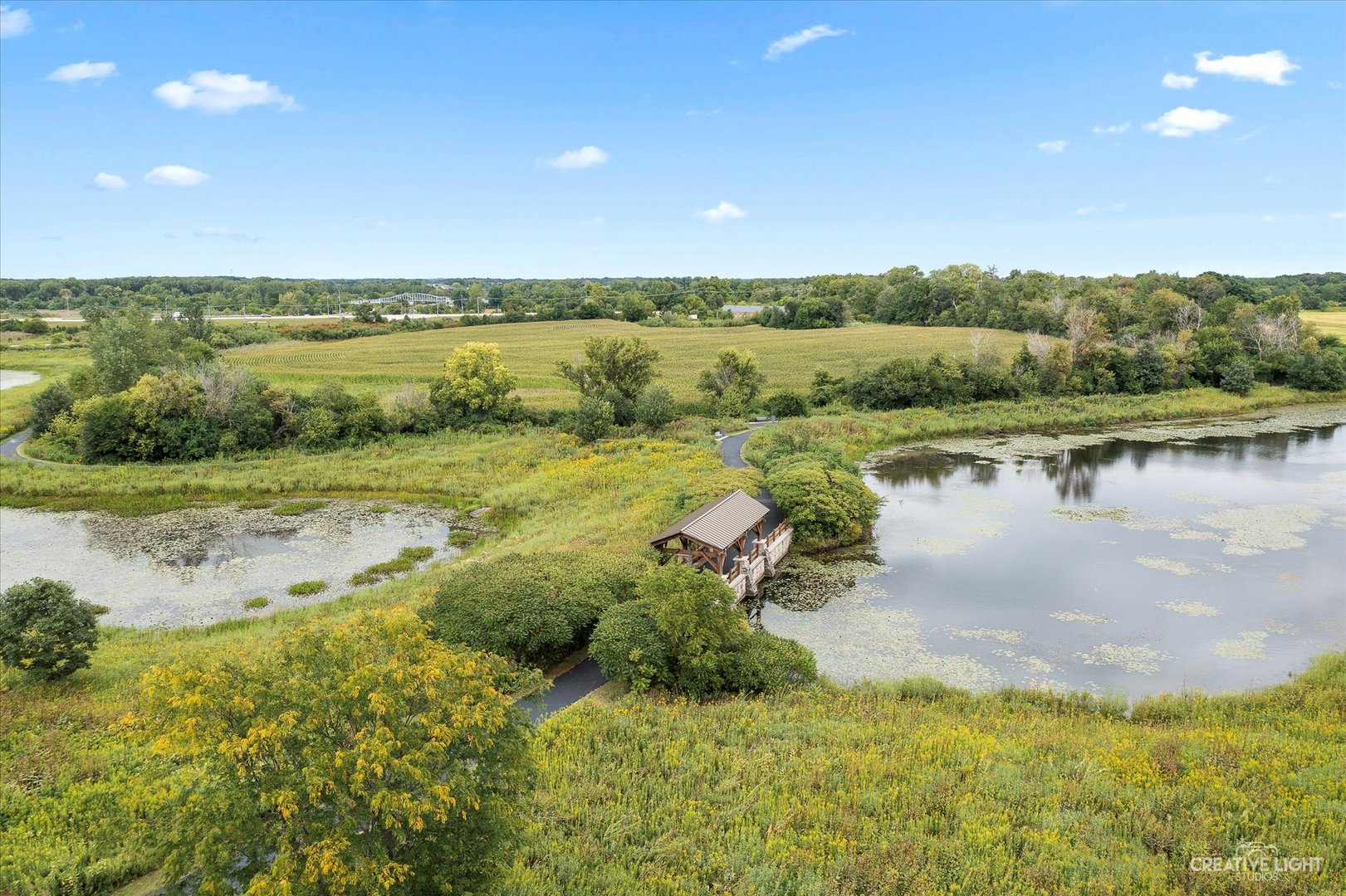 147 Gillett Street Sugar Grove, IL 60554 - Photo 30 of 32 a view of a lake with a yard