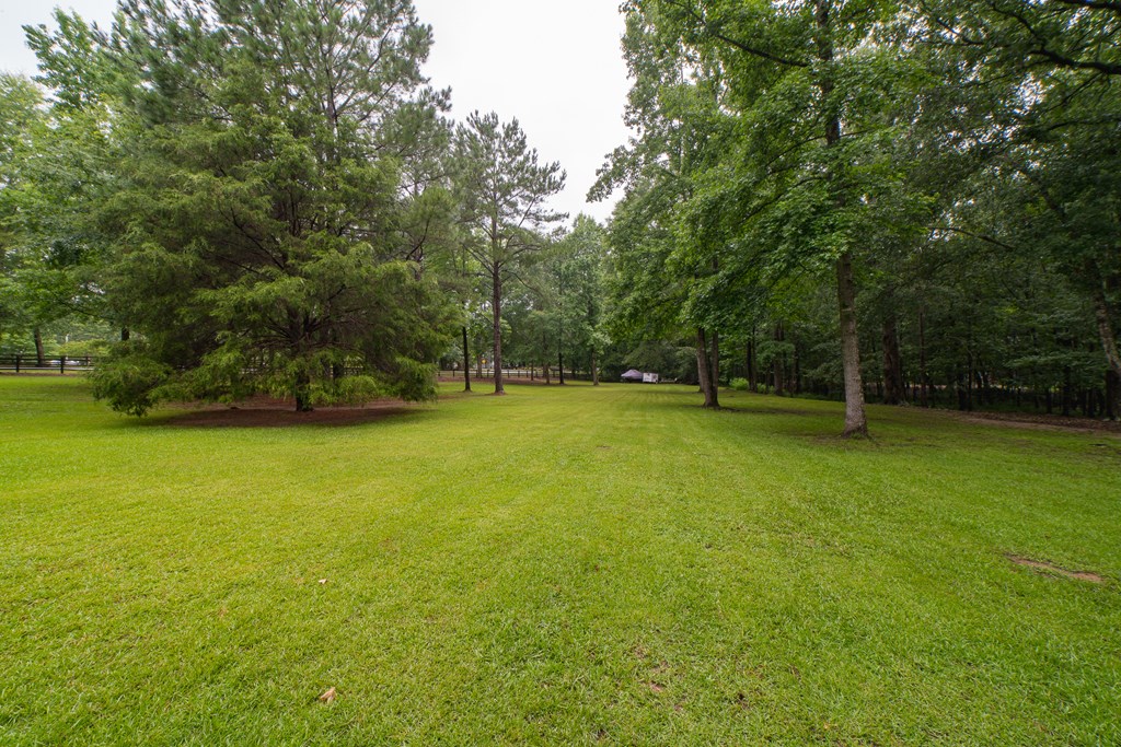 8200 Midland Road Midland, GA 31820 - Photo 66 of 74 Gallery Image 66