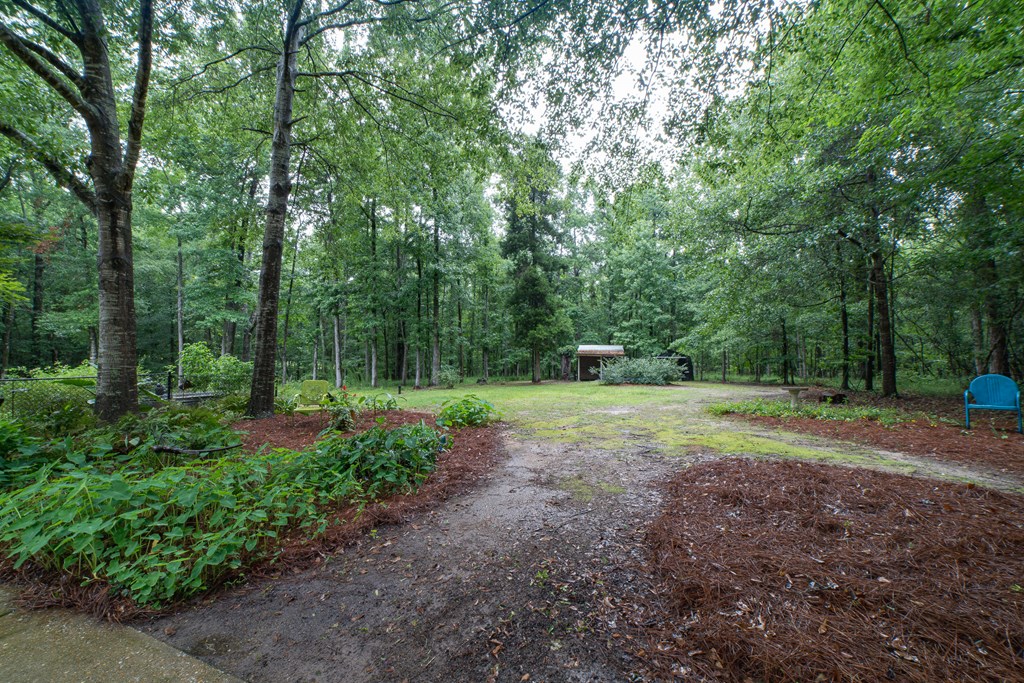 8200 Midland Road Midland, GA 31820 - Photo 9 of 74 Gallery Image 9
