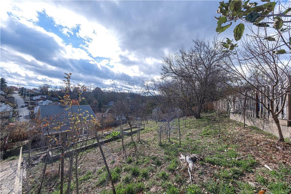 201 Friday Road Pittsburgh, PA 15209 - Photo 16 of 39 a view of a forest with a tree