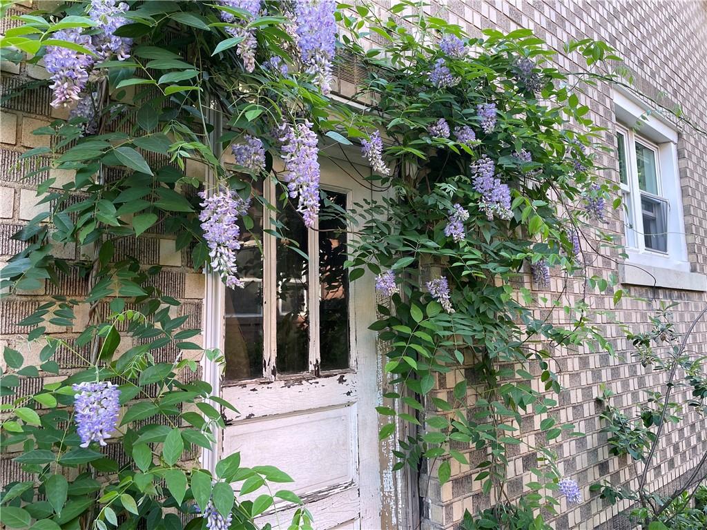 201 Friday Road Pittsburgh, PA 15209 - Photo 8 of 39 a flower plants in front of a house