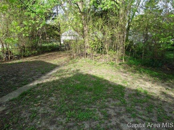 2113 South Spring Street Springfield, IL 62704 - Photo 11 of 12