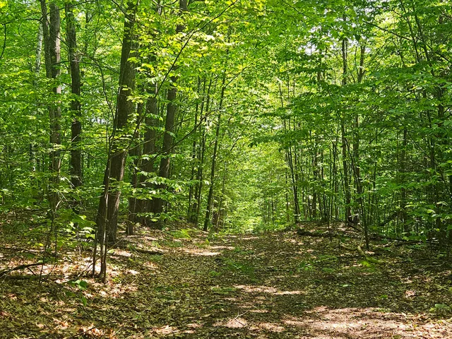 $120,000 | Lot 023 Oak Hill Road, Temple, ME 04984