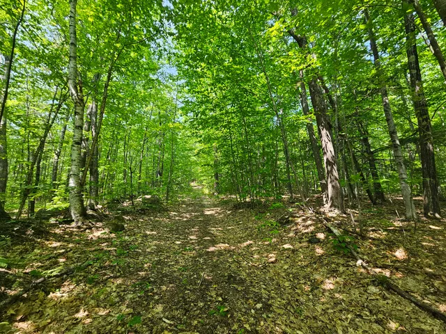 $120,000 | Lot 023 Oak Hill Road, Temple, ME 04984