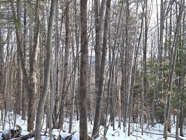 $120,000 | Lot 023 Oak Hill Road, Temple, ME 04984