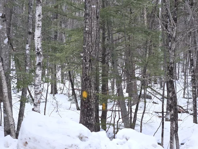 $120,000 | Lot 023 Oak Hill Road, Temple, ME 04984