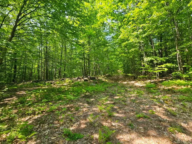 $120,000 | Lot 023 Oak Hill Road, Temple, ME 04984