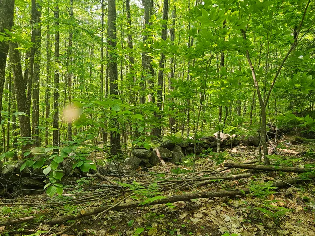 $120,000 | Lot 023 Oak Hill Road, Temple, ME 04984