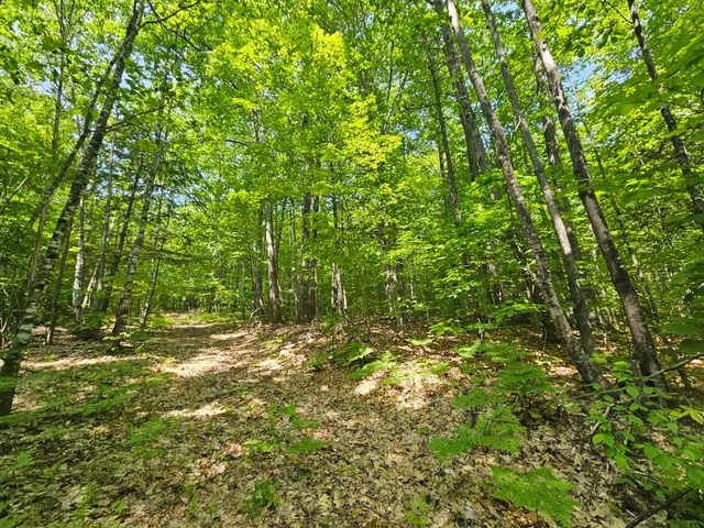 $120,000 | Lot 023 Oak Hill Road, Temple, ME 04984