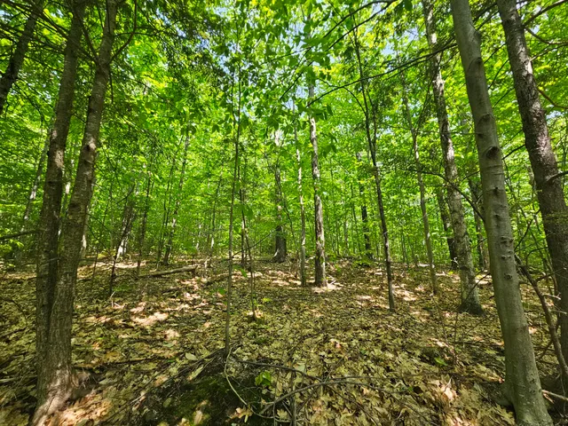 $120,000 | Lot 023 Oak Hill Road, Temple, ME 04984