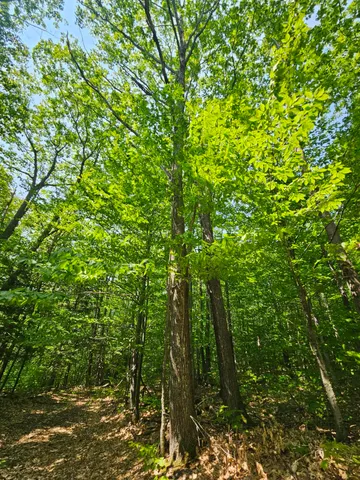 $120,000 | Lot 023 Oak Hill Road, Temple, ME 04984