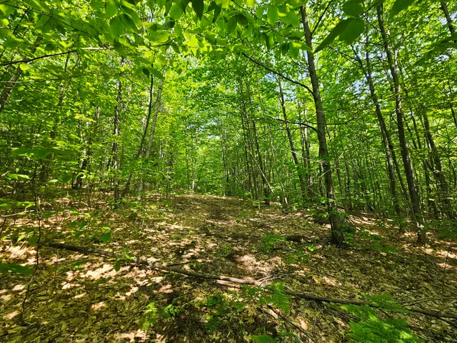 $120,000 | Lot 023 Oak Hill Road, Temple, ME 04984