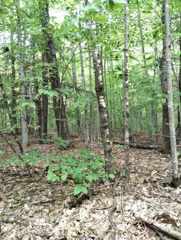 $120,000 | Lot 023 Oak Hill Road, Temple, ME 04984