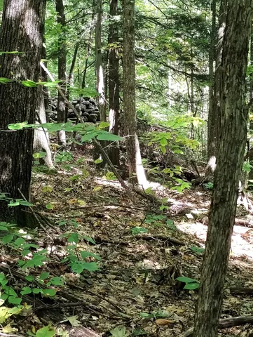 $120,000 | Lot 023 Oak Hill Road, Temple, ME 04984