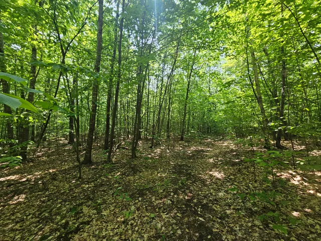 $120,000 | Lot 023 Oak Hill Road, Temple, ME 04984