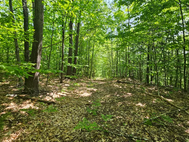 $120,000 | Lot 023 Oak Hill Road, Temple, ME 04984