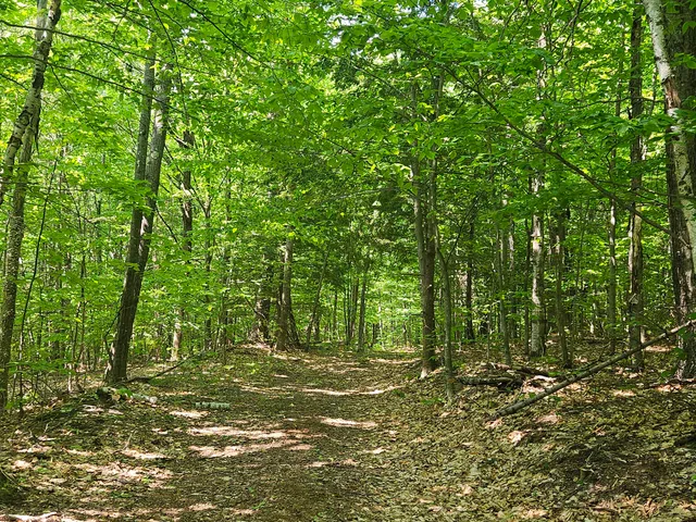 $120,000 | Lot 023 Oak Hill Road, Temple, ME 04984